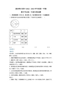 2022-2023学年陕西省西安市陕西师范大学附中高一上学期期中生物试题（解析版）