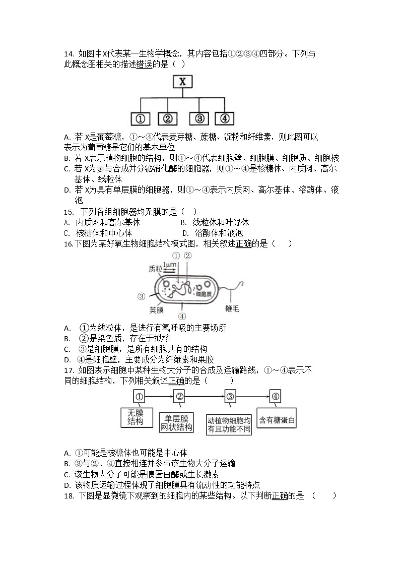 安徽省淮北市第一中学2022-2023学年高一上学期期中考试生物试题（Word版pdf答案）03