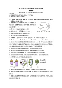 海南省澄迈中学2022-2023学年高一上学期学科竞赛生物试卷