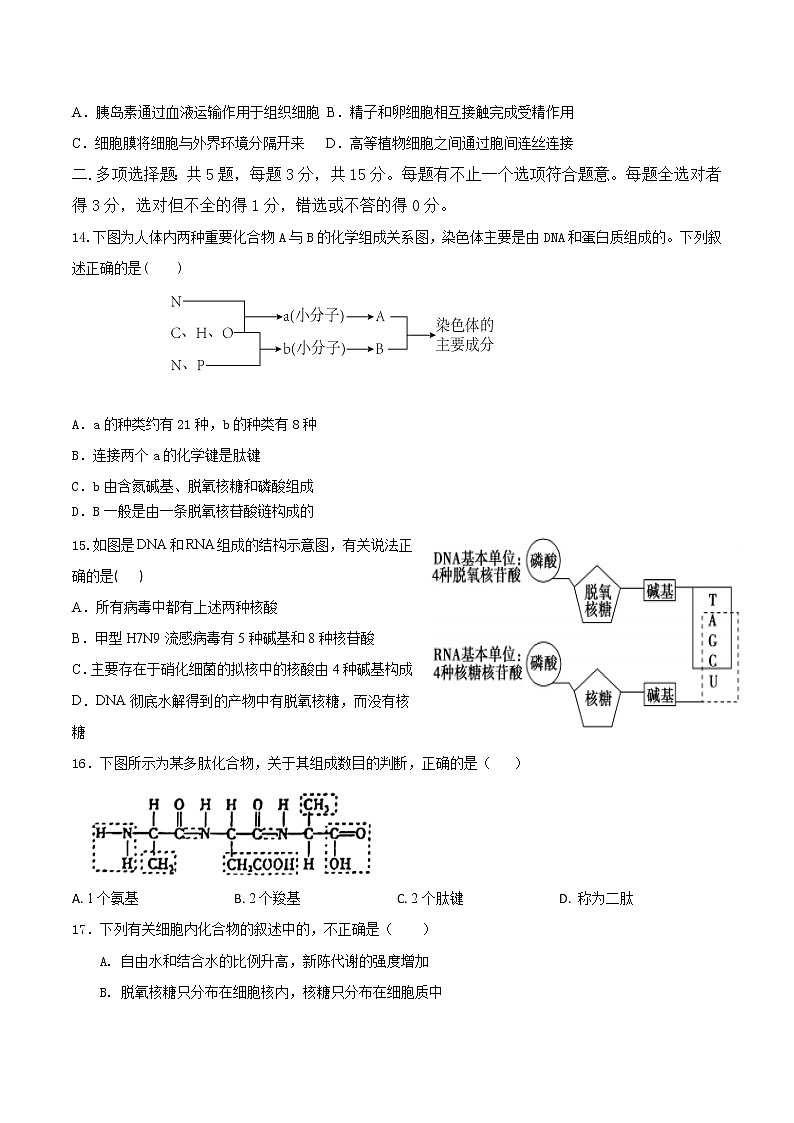 河北武强中学2022-2023学年高一上学期期中考试生物试卷03