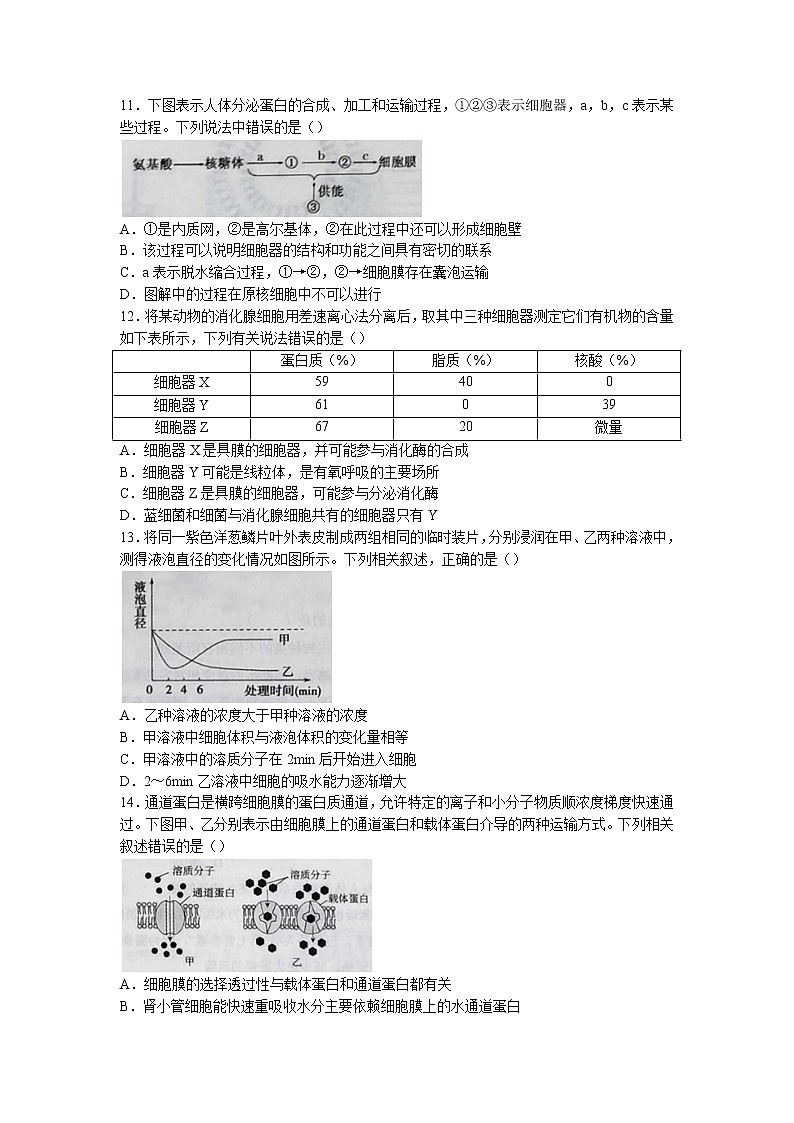 辽宁省沈阳市辽中区二中2022-2023学年高一上学期期中生物试题第3页