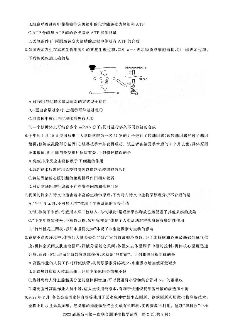 2023湖北新高三摸底百校联考生物试题及答案02