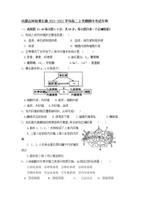 2021-2022学年内蒙古阿拉善左旗高二上学期期中考试生物试题（Word版）