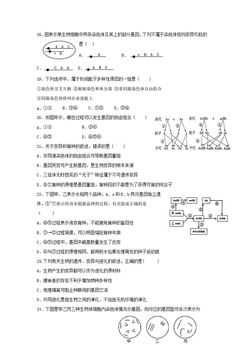 2021-2022学年宁夏回族自治区青铜峡市高级中学等两校高二下学期期中考试生物（理）试题（Word版）03