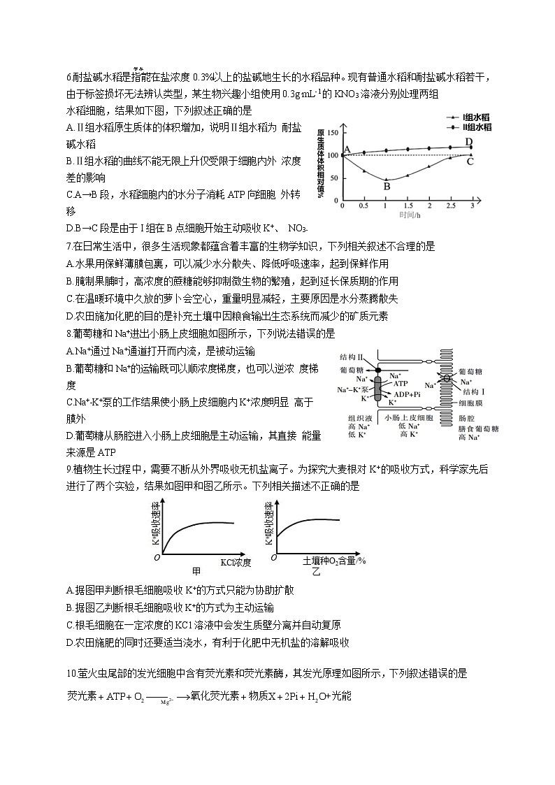 2021-2022学年内蒙古自治区赤峰市红山区高二下学期5月月考生物试题（Word版）第2页