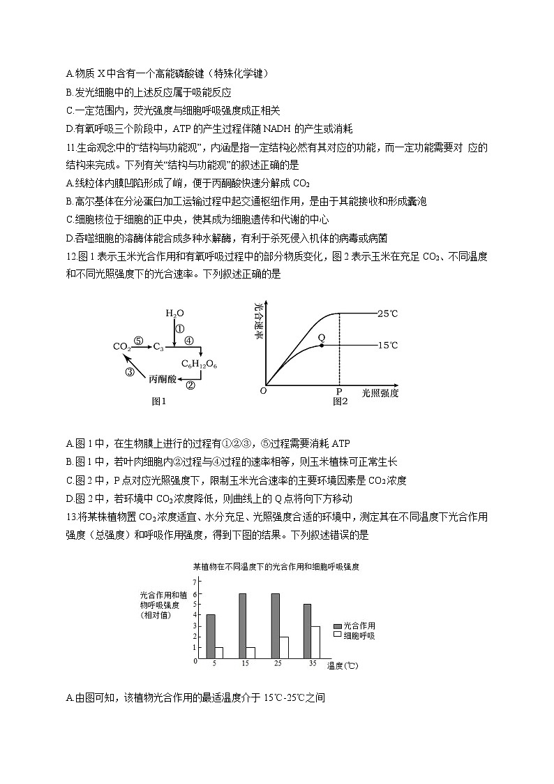 2021-2022学年内蒙古自治区赤峰市红山区高二下学期5月月考生物试题（Word版）第3页