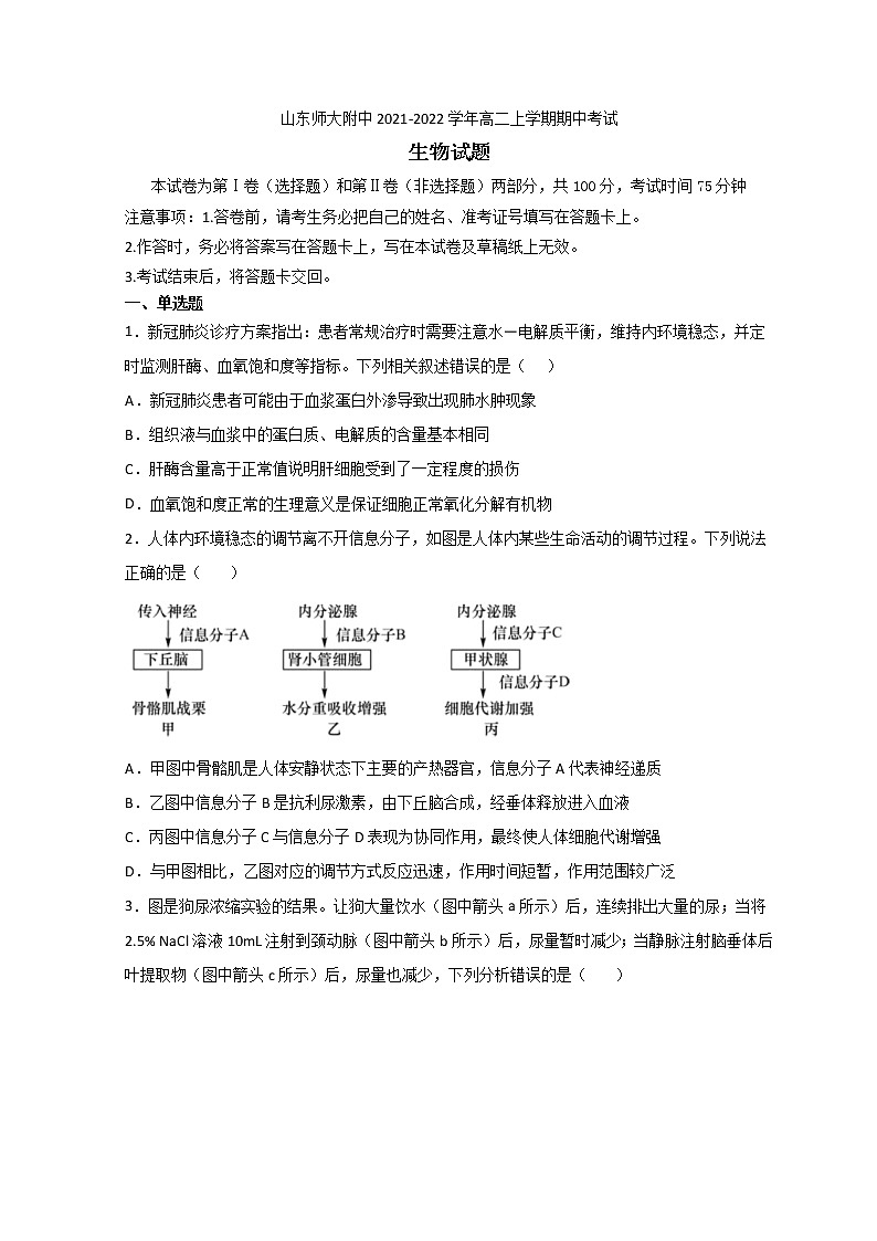 2021-2022学年山东省济南市山东师大附中高二上学期期中考试生物试题 解析版01