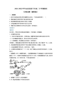 2021-2022学年山东省济宁市高二下学期期末生物试题（解析版）