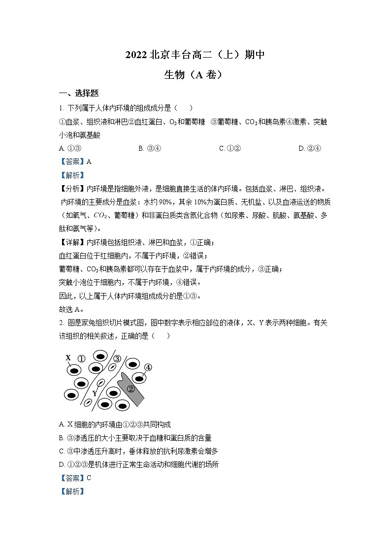 2022-2023学年北京市丰台区高二上学期期中生物试题（A） 解析版01