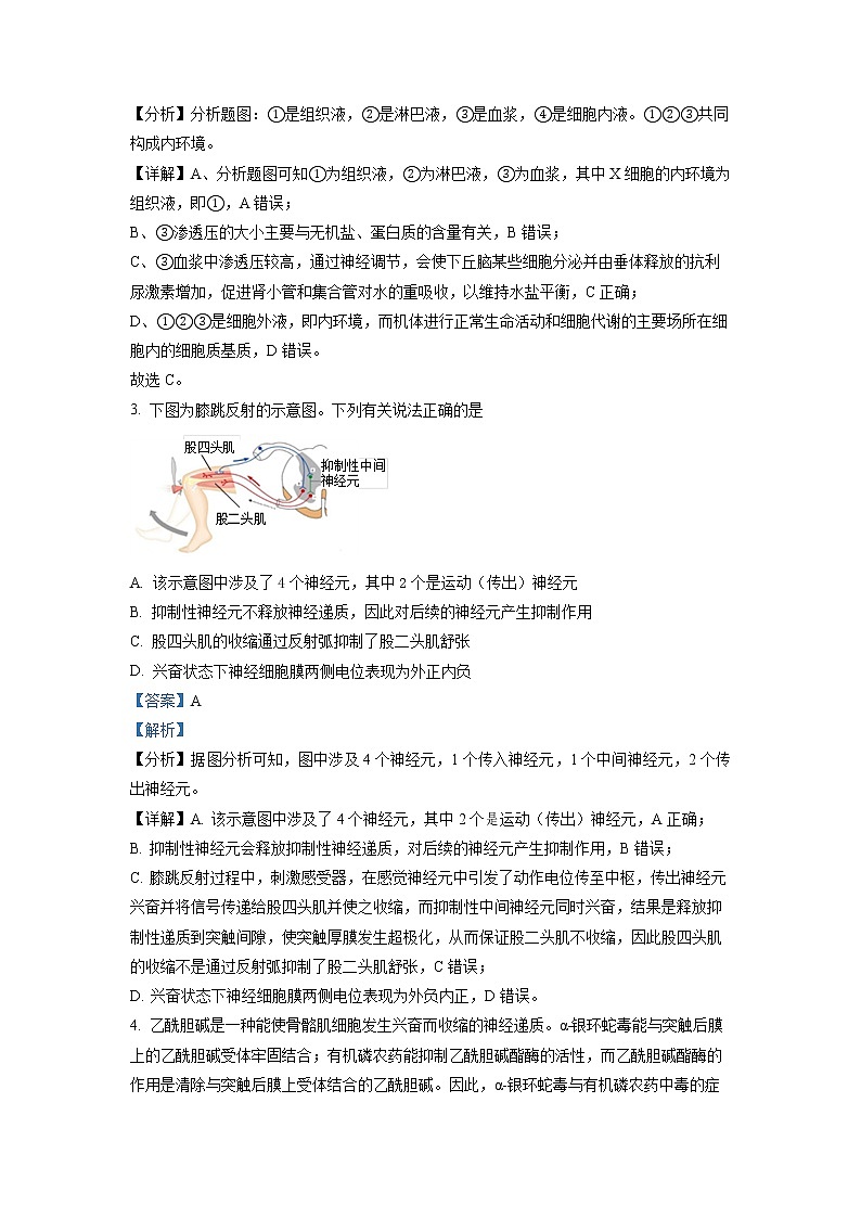 2022-2023学年北京市丰台区高二上学期期中生物试题（A） 解析版02