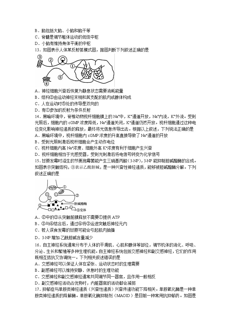 2022-2023学年贵州省六盘水市二中高二9月月考生物试题 Word版03