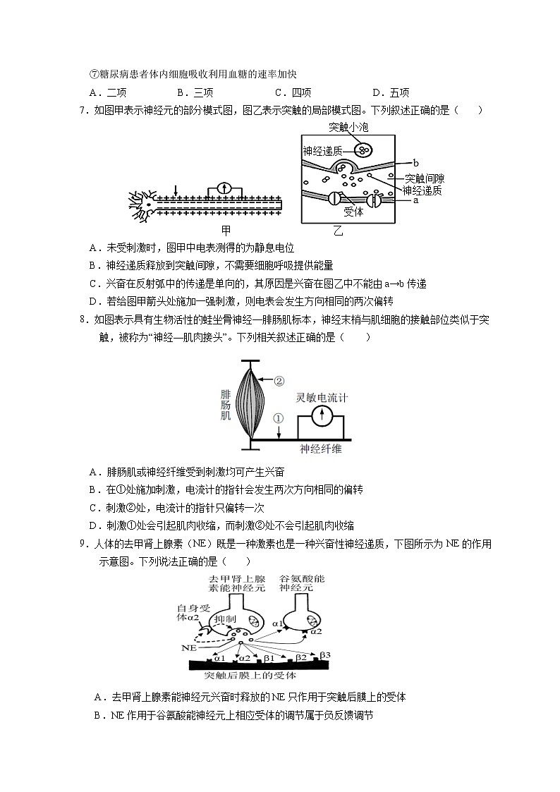 2022-2023学年河北省保定市第一中学等部分学校高二上学期9月考试生物试题 Word版02