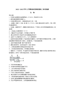 2022-2023学年河南省创新发展联盟高二上学期10月阶段检测 生物 Word版