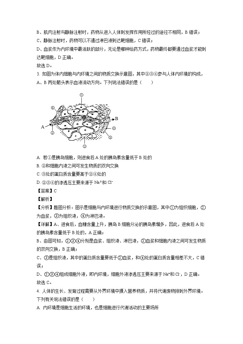 2022-2023学年河南省创新联盟高二上学期第一次联考生物试题（解析版）02