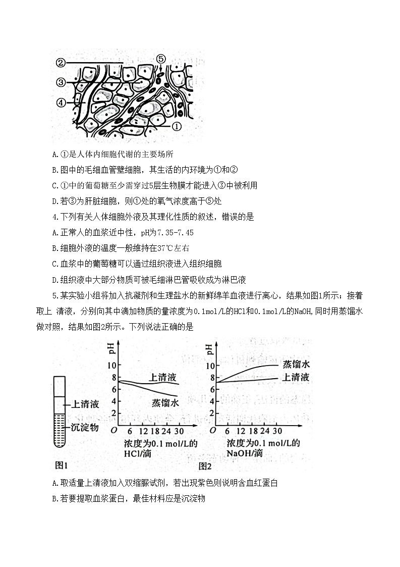 2022-2023学年河南省南阳市第一中学等六校高二上学期第一次月考生物试题 解析版第2页
