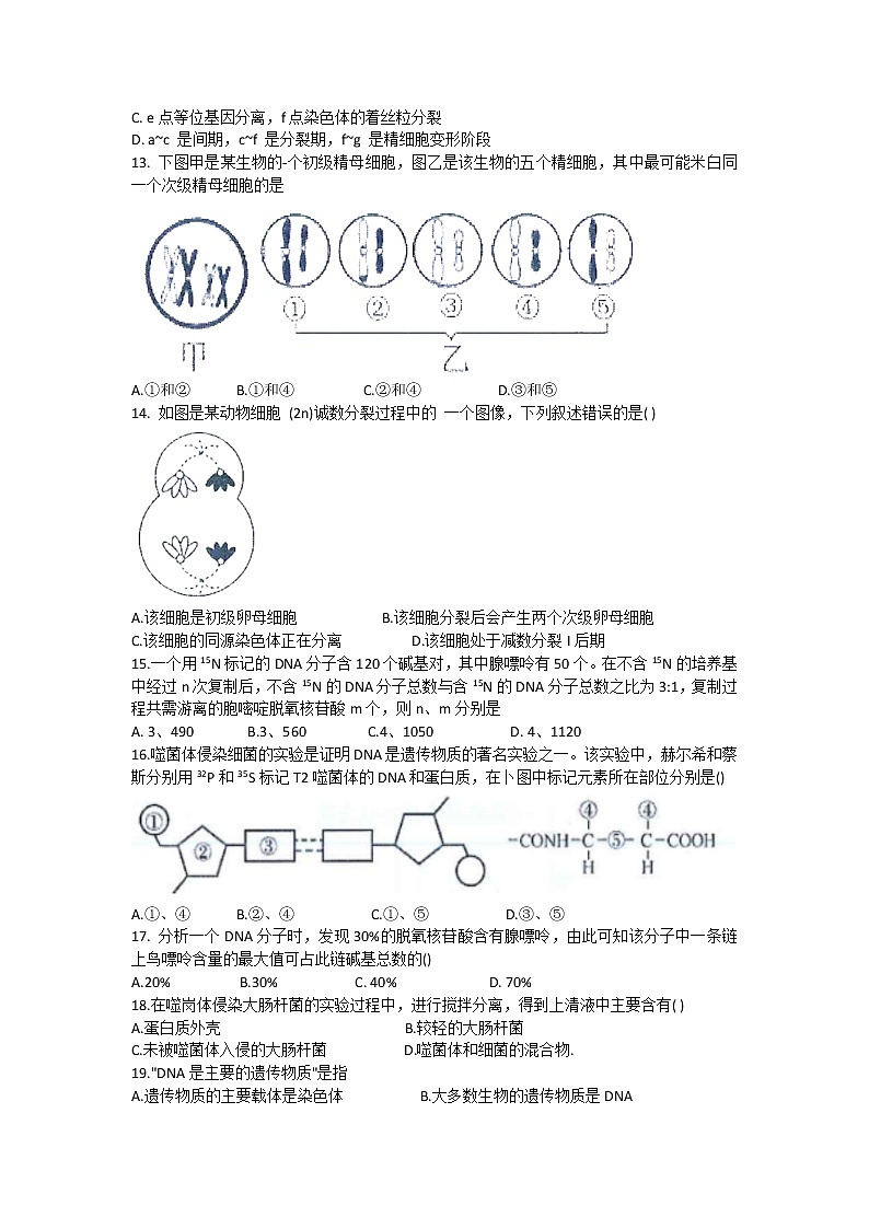 2022-2023学年黑龙江省哈尔滨市第三中学高二上学期9月开学验收考试生物试题（Word版）第3页
