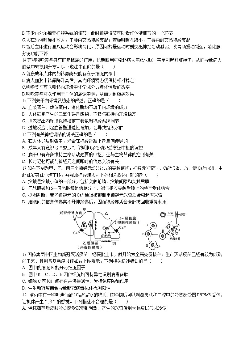 2022-2023学年黑龙江省齐齐哈尔市第一中学等八校联合体高二上学期期中考试生物试题 Word版03