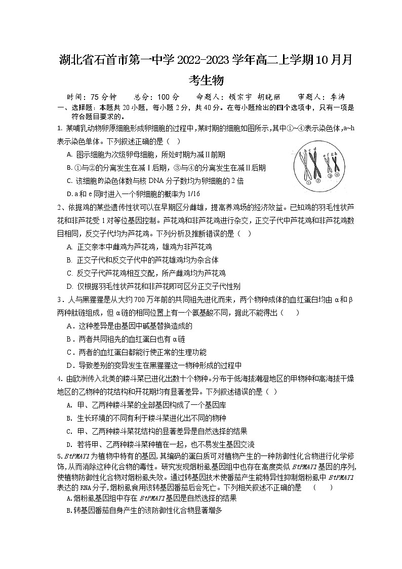 2022-2023学年湖北省石首市第一中学高二上学期10月月考生物试题（Word版）第1页