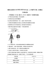 2022-2023学年湖南省衡阳县第四中学高二上学期9月第二次测试生物试题（Word版）