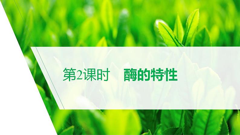 5.1.2降低化学反应活化能的酶（二）课件2022-2023学年高一上学期生物人教版必修102