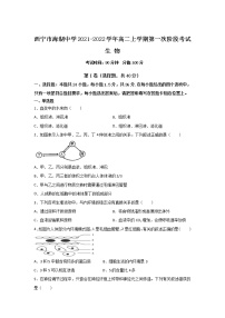 2021-2022学年青海省西宁市海湖中学高二上学期第一次阶段考试生物试卷（Word版）