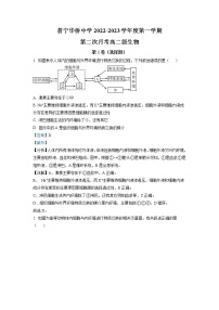 2022-2023学年广东省普宁市华侨中学高二11月期中 生物 解析版