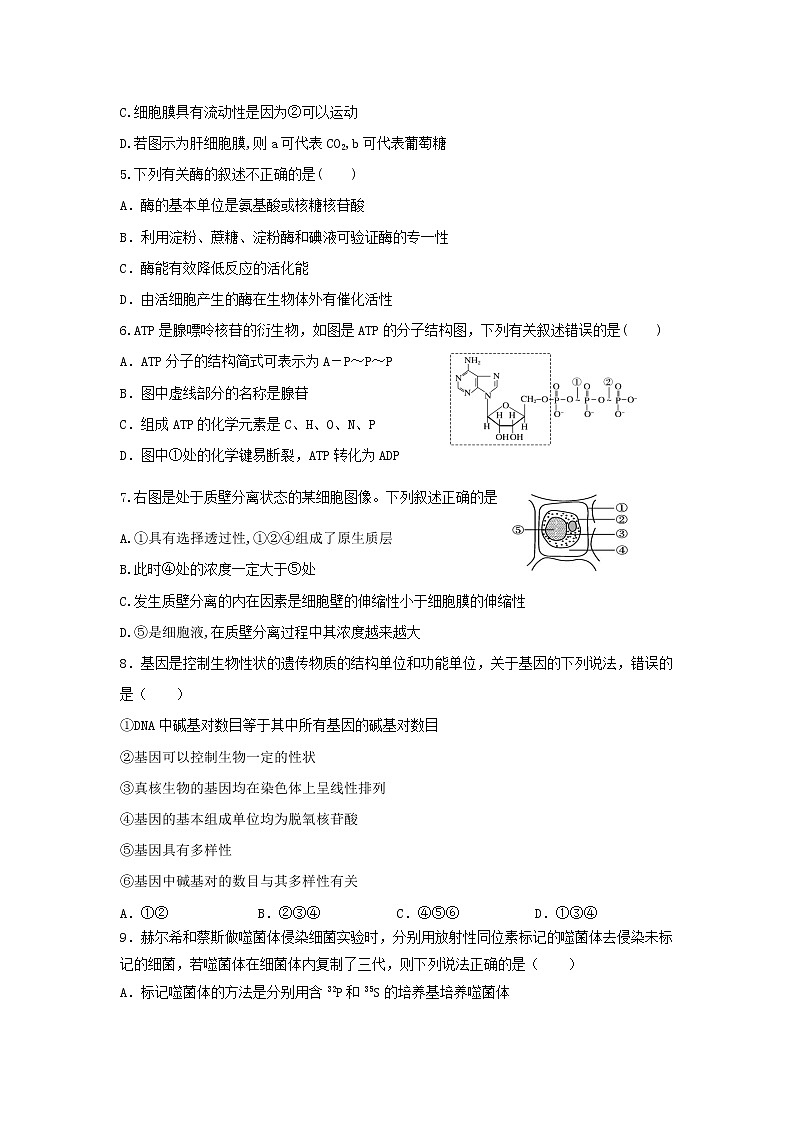 2022-2023学年辽宁省凤城市第一中学高二上学期期初考试生物试题（Word版）第2页