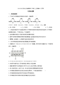 2022-2023学年山东省聊城市二中高二上学期第一次月考生物试题 解析版 (1)