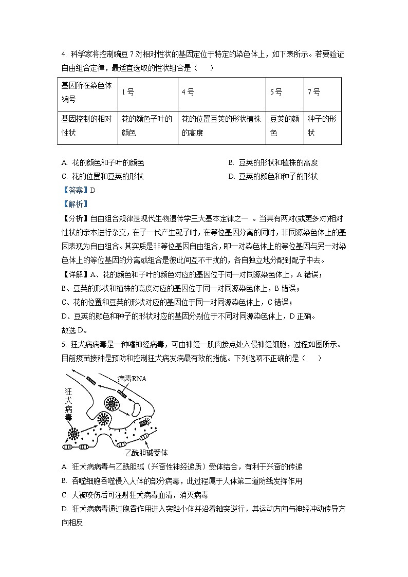 2022-2023学年山东省聊城市二中高二上学期开学考试生物试题 解析版第3页