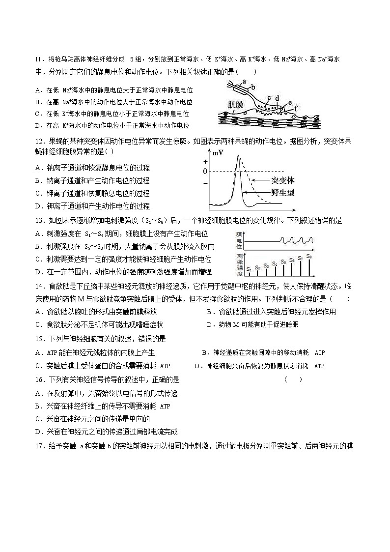 2022-2023学年山东省枣庄市第三中学高二上学期10月阶段检测生物试题 word版第3页