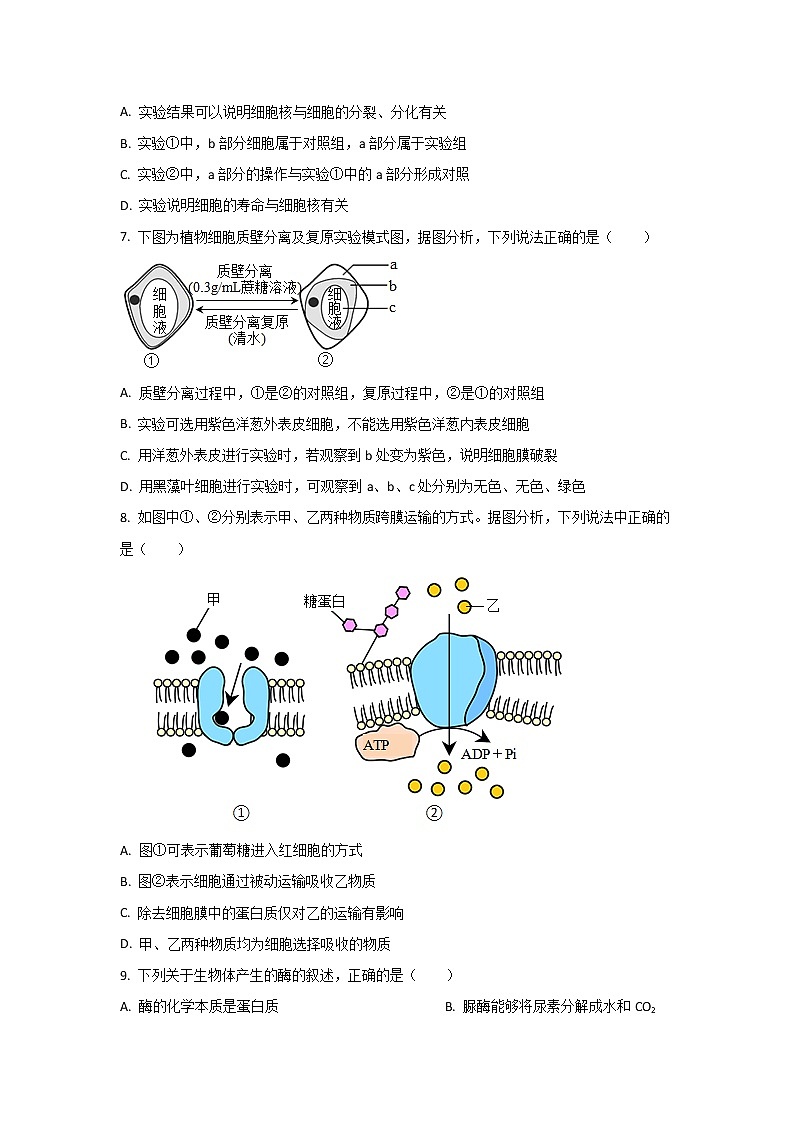 2022-2023学年山西省太原师范学院附属中学高二上学期开学分班考试生物试题（Word版）03