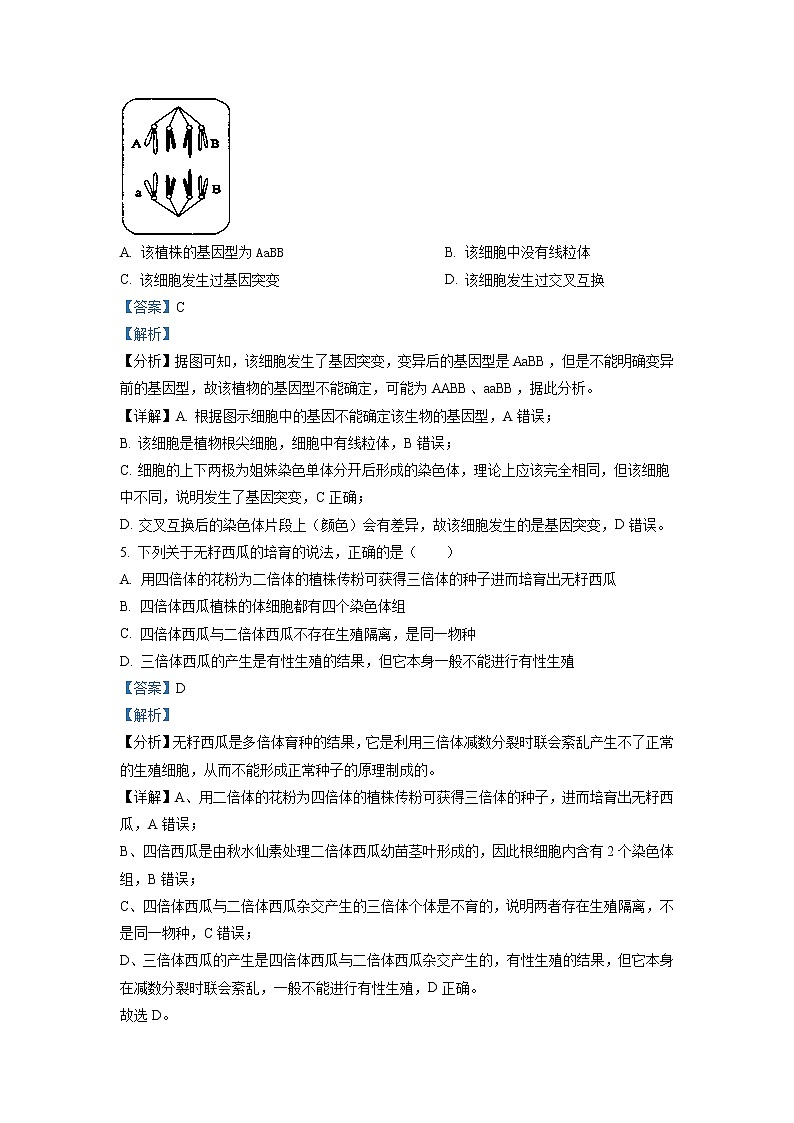 2022-2023学年四川省绵阳市江油中学高二上学期10月月考试题 生物 解析版第3页