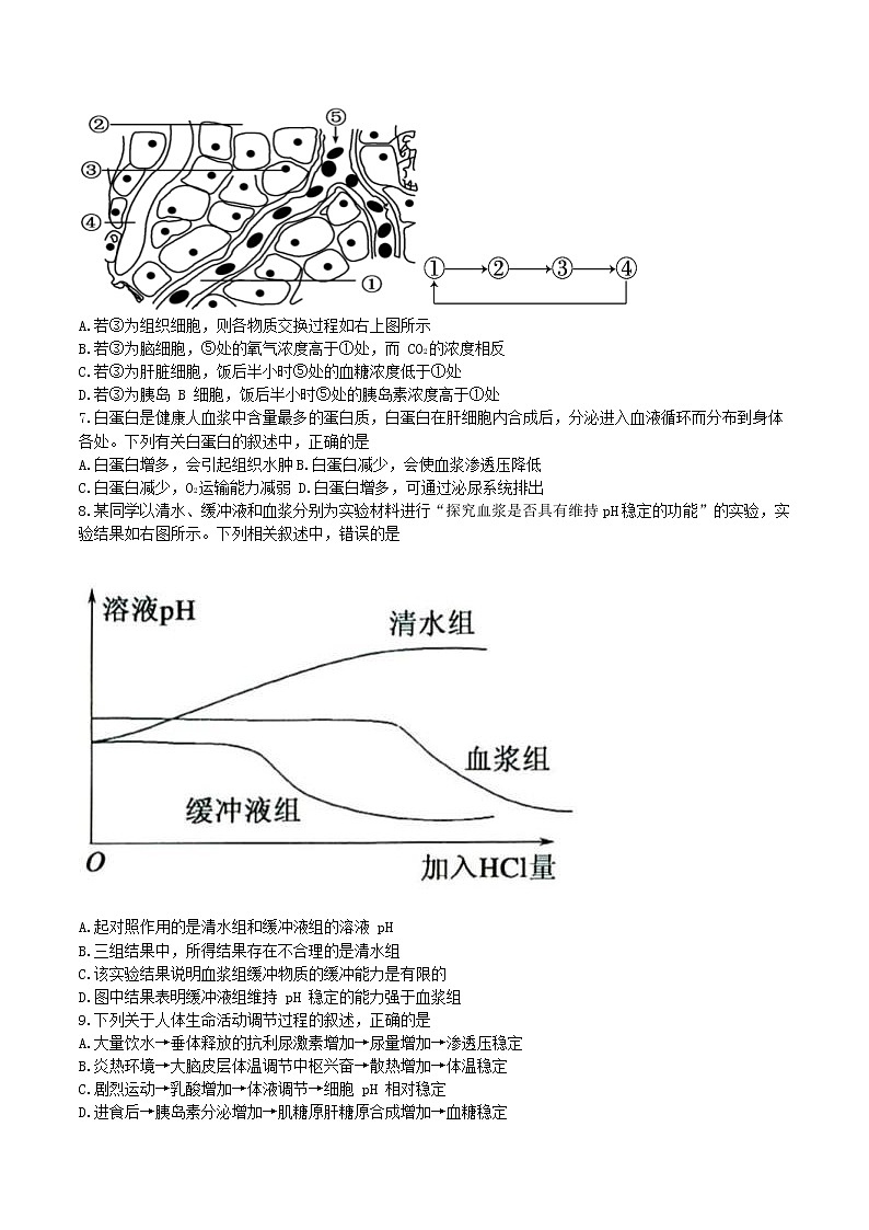 2022-2023学年四川省内江市第六中学高二上学期期中生物试题 Word版02