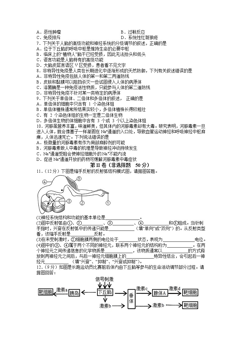 2022-2023学年四川省宜宾市第二中学校高二上学期期中考试生物试题 Word版02