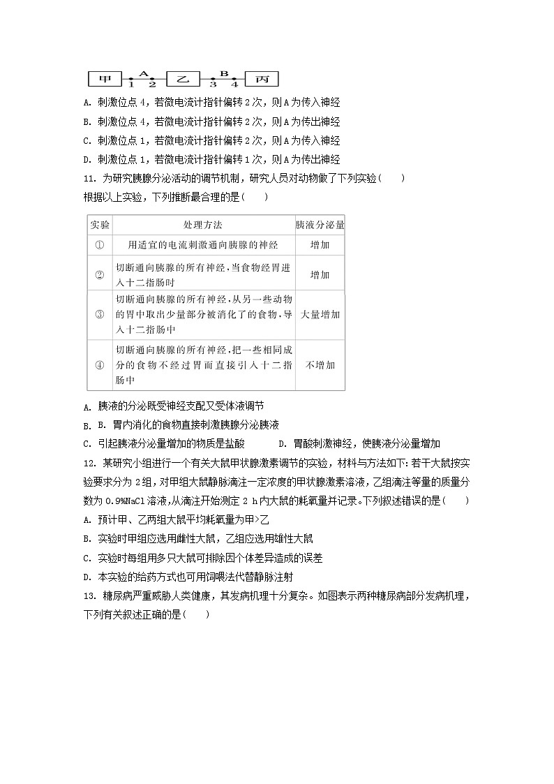 2022-2023学年新疆乌鲁木齐市第八中学高二上学期期中考试生物试题 Word版03