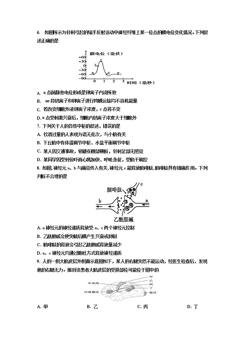 2022-2023学年浙江省嘉兴市第五高级中学高二上学期10月检测生物试题 Word版02