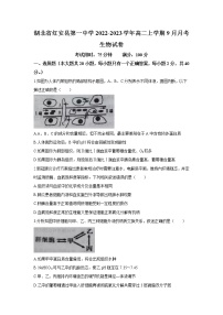 2022-2023学年湖北省红安县第一中学高二上学期9月月考生物试题（Word版）