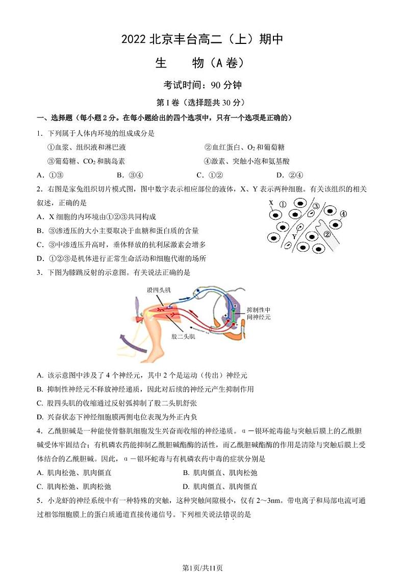 2022-2023学年北京丰台高二（上）期中生物A卷试题及答案01