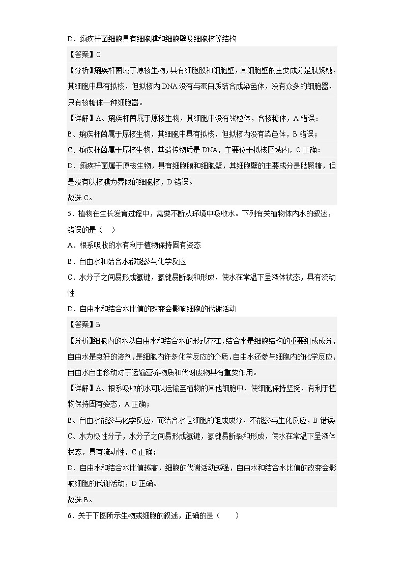 【精编精校卷】2022-2023学年山东省泰安市新泰市一中高一上学期期中生物试题（解析版）03