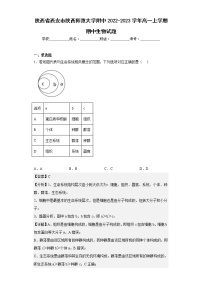 【精编精校卷】2022-2023学年陕西省西安市陕西师范大学附中高一上学期期中生物试题（解析版）