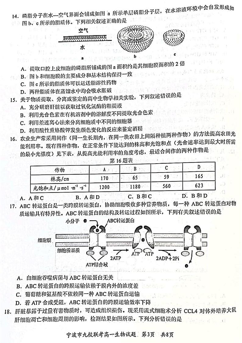 2023宁波九校联考高一上学期期末考试生物PDF版含答案第3页
