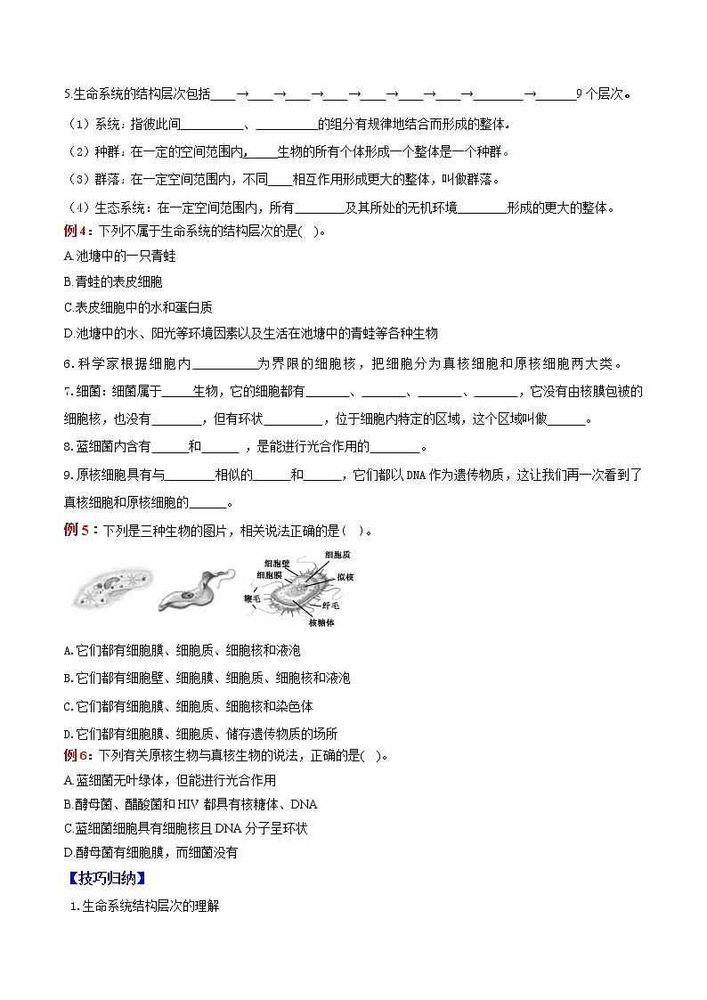 专题01 走进细胞：【二轮复习】备战2023年高考生物必备知识大串讲02