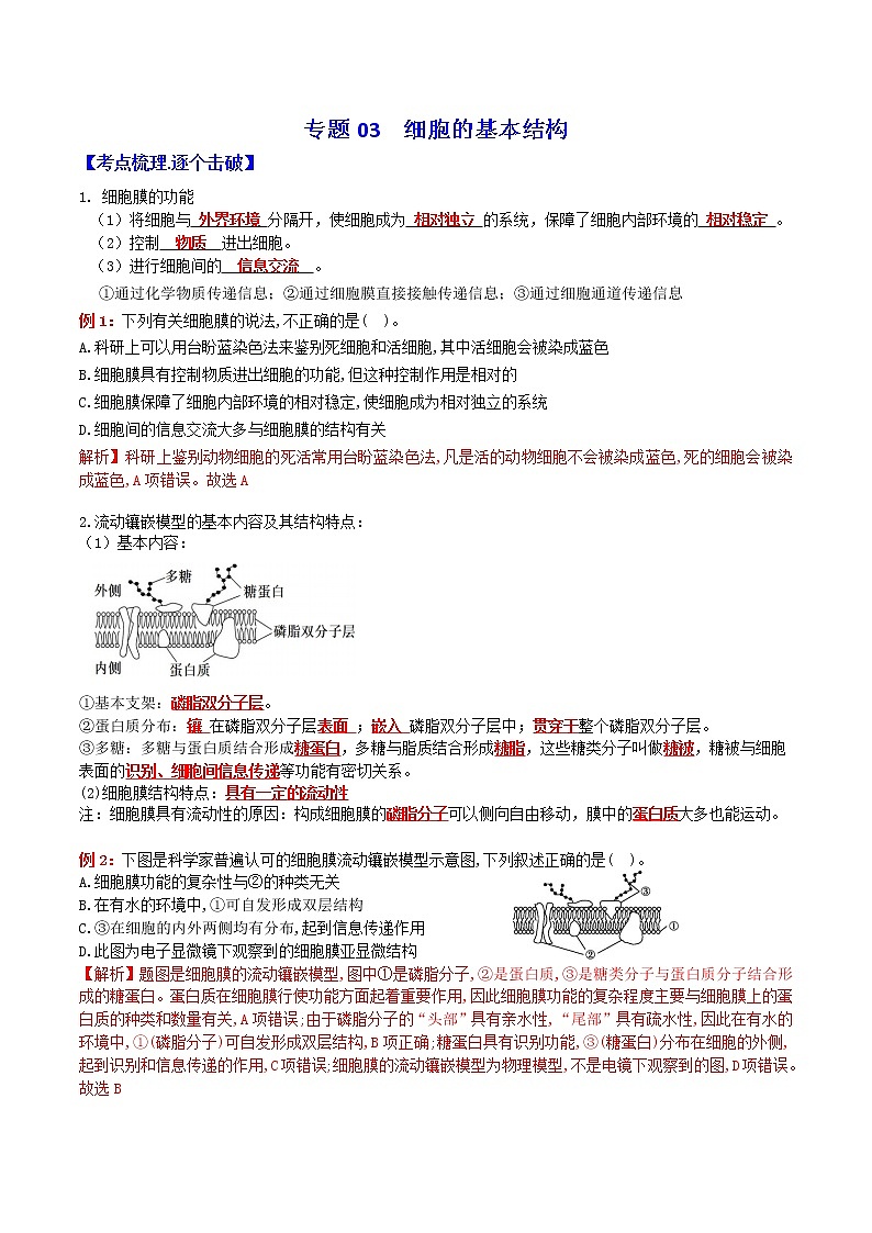 专题03 细胞的基本结构：【二轮复习】备战2023年高考生物必备知识大串讲01