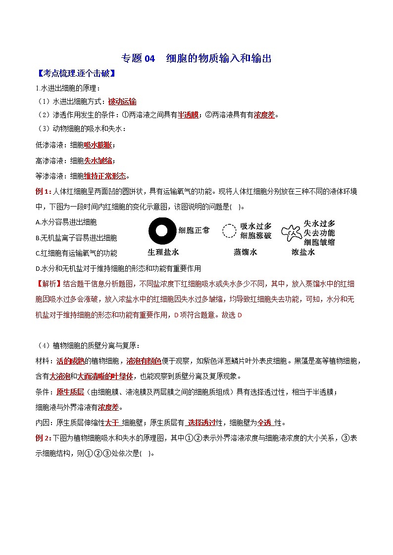 专题04 细胞的物质输入和输出：【二轮复习】备战2023年高考生物必备知识大串讲01