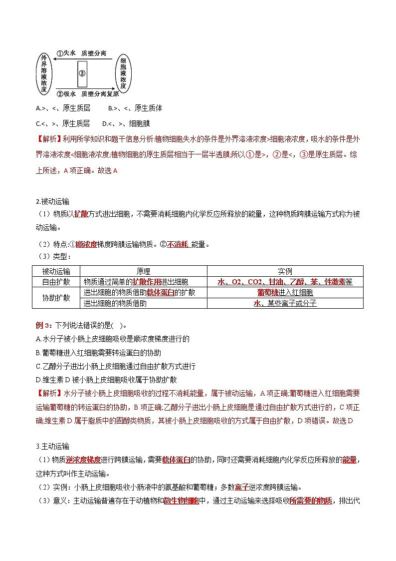 专题04 细胞的物质输入和输出：【二轮复习】备战2023年高考生物必备知识大串讲02