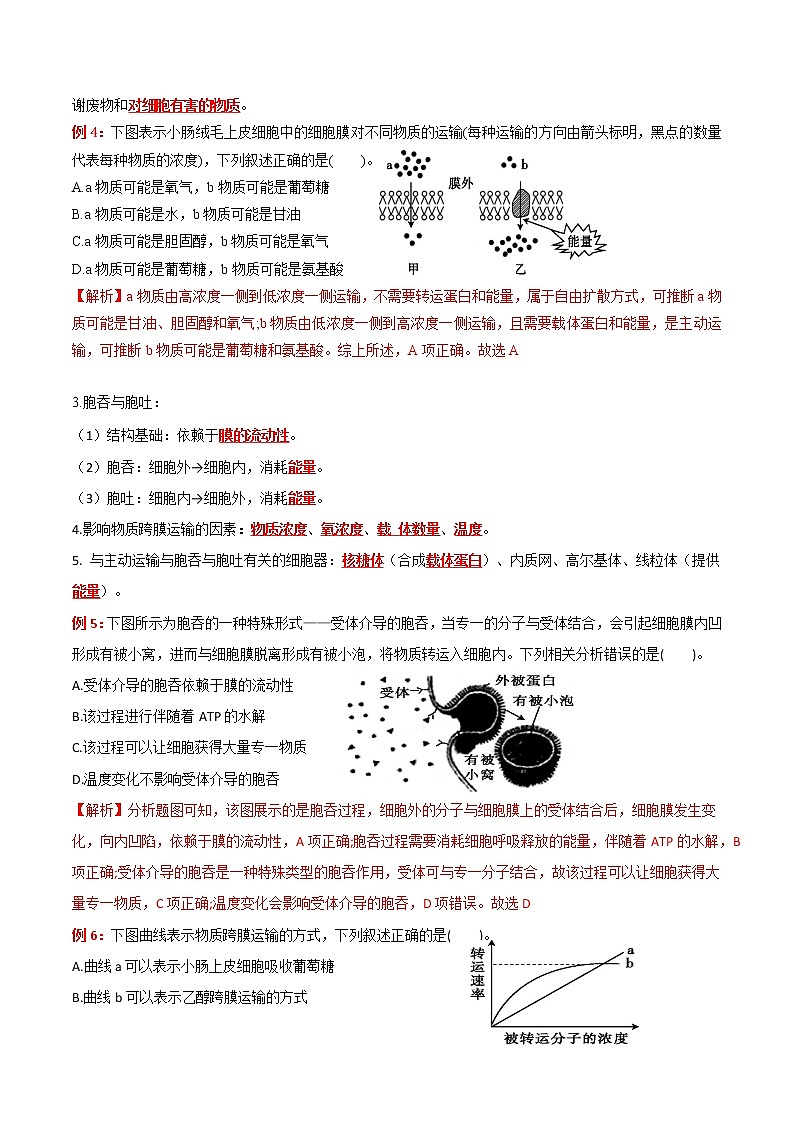 专题04 细胞的物质输入和输出：【二轮复习】备战2023年高考生物必备知识大串讲03