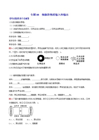 专题04 细胞的物质输入和输出：【二轮复习】备战2023年高考生物必备知识大串讲