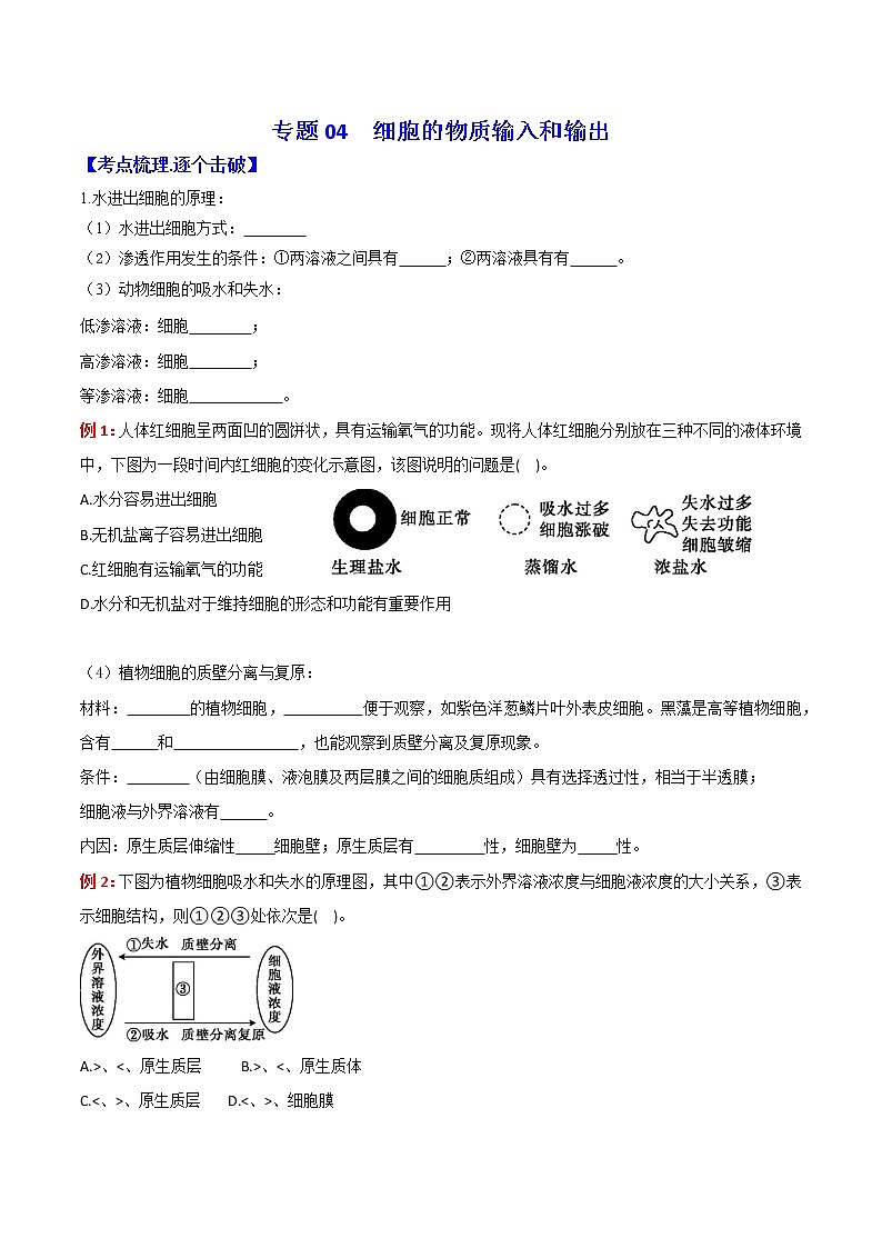 专题04 细胞的物质输入和输出：【二轮复习】备战2023年高考生物必备知识大串讲01