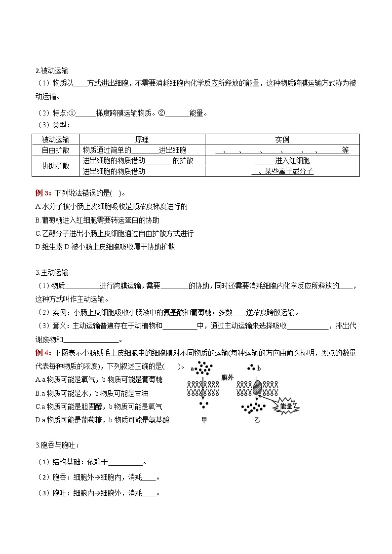专题04 细胞的物质输入和输出：【二轮复习】备战2023年高考生物必备知识大串讲02
