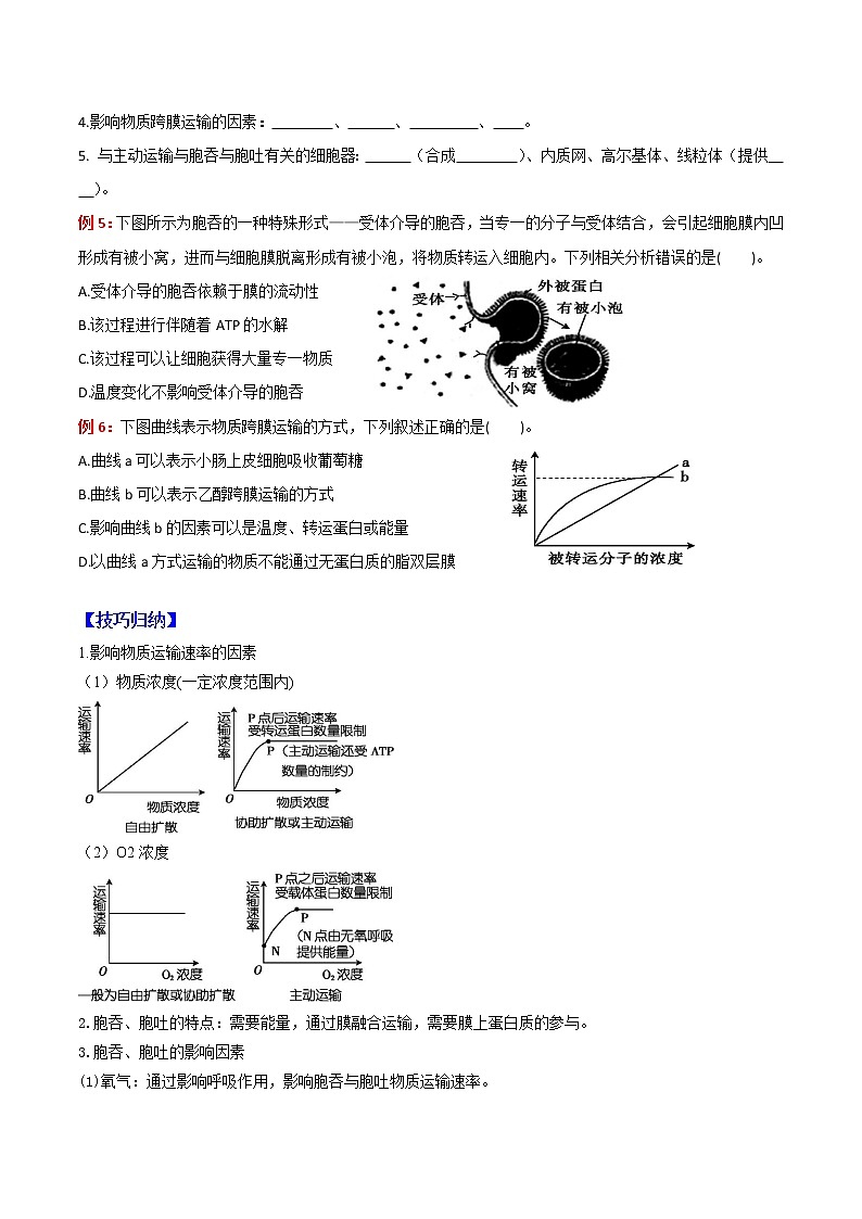 专题04 细胞的物质输入和输出：【二轮复习】备战2023年高考生物必备知识大串讲03